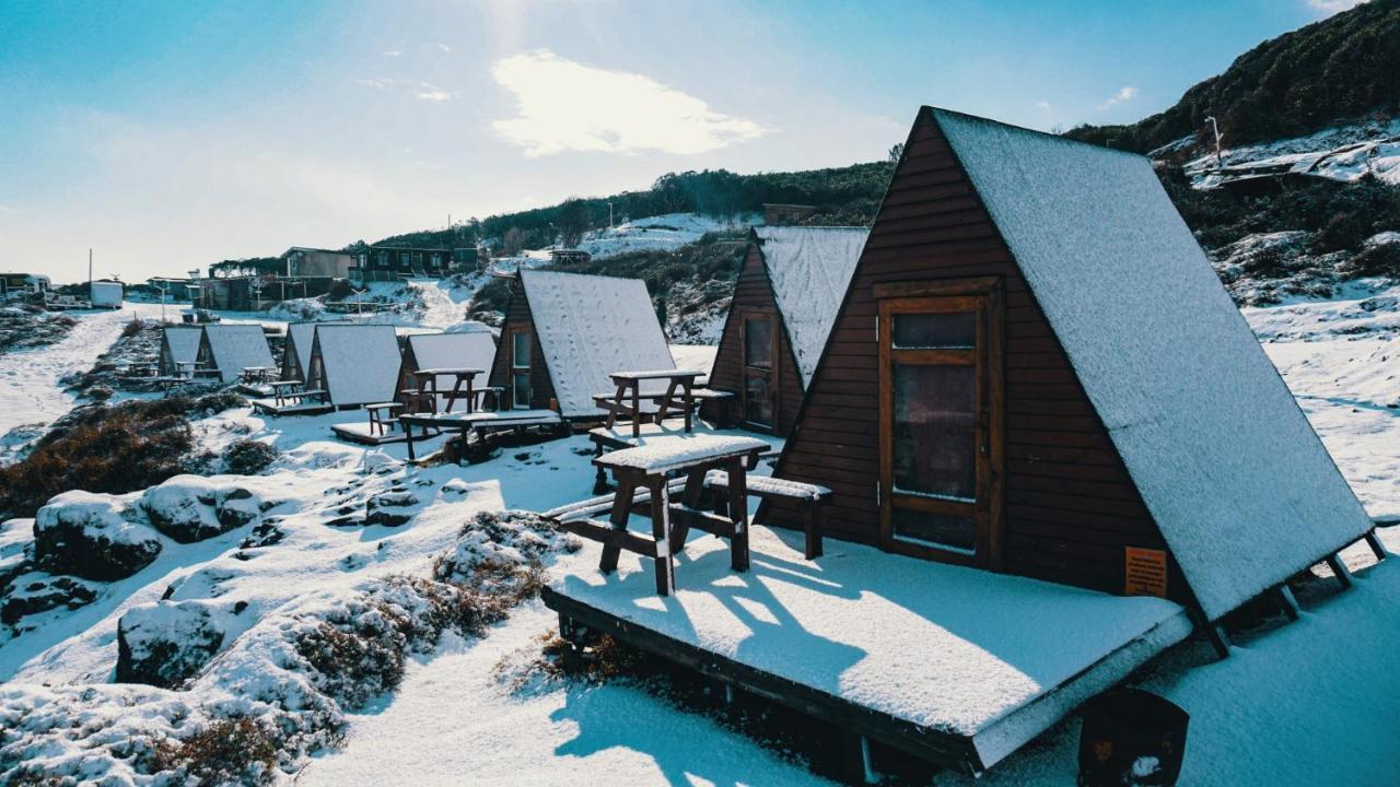 Sahil Kamp Istanbul Hotel Ağva Zewnętrze zdjęcie